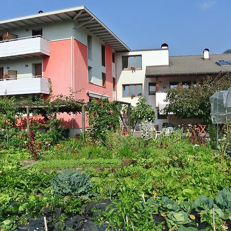 Agriturismo Bortolotti Pergine Valsugana Kültér fotó