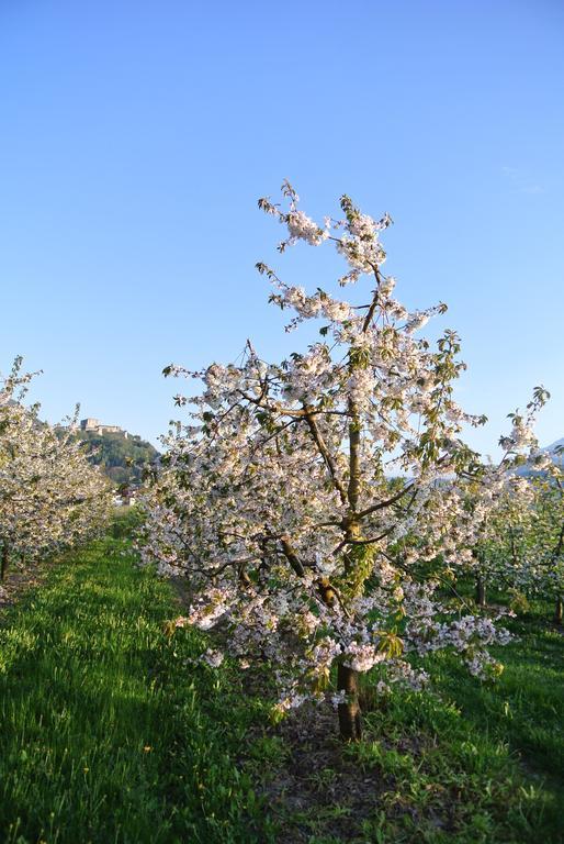 Agriturismo Bortolotti Pergine Valsugana Kültér fotó